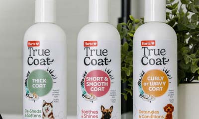 Free Hartz True Coat Dog Shampoo