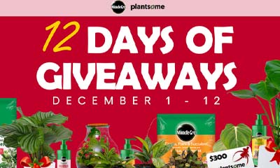 Free Miracle-Gro Potting Mix and Plant Food