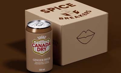 Free Spice Breakers Game and New Ginger Beer