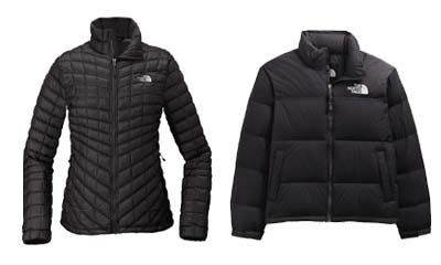 Free The North Face Winter Jacket