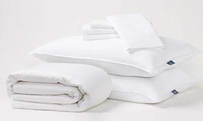 Free Serta Pillow Set
