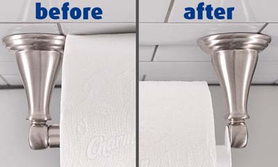 Free Charmin Roll Extender