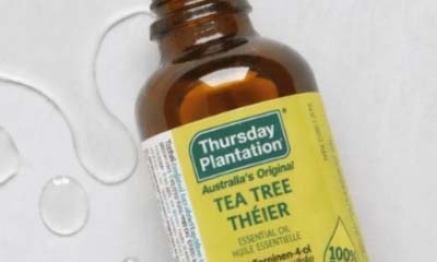 Free Thursday Plantation Patch Perfect